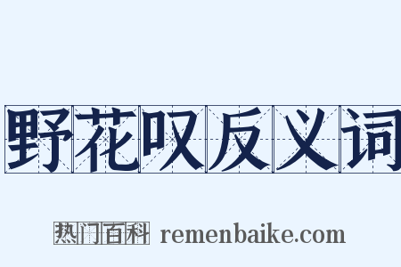 野花叹反义词是什么意思的图片
